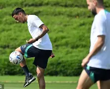 乐鱼体育APP-葡超直播在线观看高清